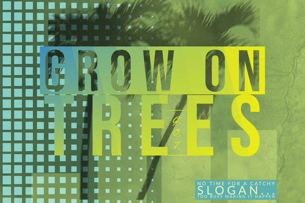 Grow On Trees Clothing Gift Card